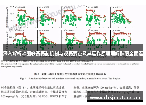 深入解析欧国联赛赛制机制与观赛要点及其运作原理理解指南全面篇 深入解析欧国联赛赛制机制与观赛要点及其运作原理理解指南全面篇