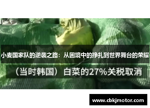 小麦国家队的逆袭之路：从困境中的挣扎到世界舞台的荣耀